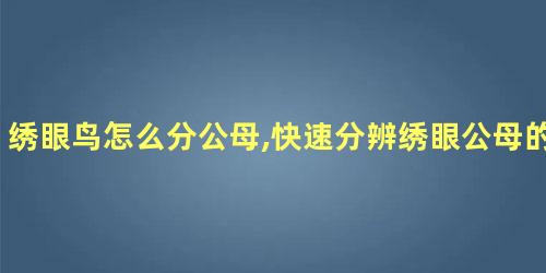 绣眼鸟怎么分公母,快速分辨绣眼公母的方法视频