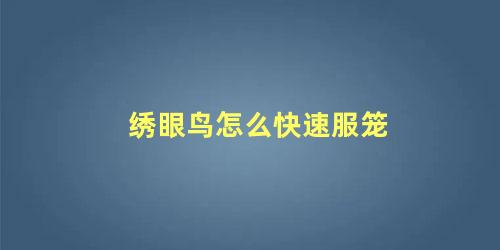 绣眼鸟怎么快速服笼