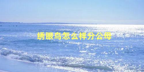 绣眼鸟怎么样分公母