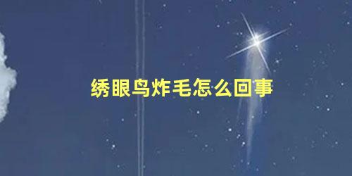 绣眼鸟炸毛怎么回事
