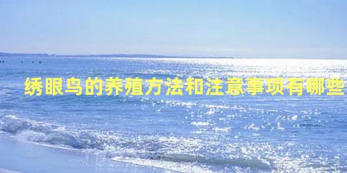 绣眼鸟的养殖方法和注意事项有哪些