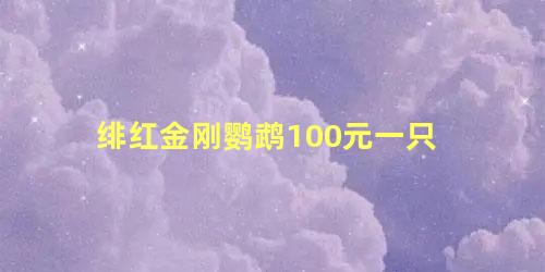 绯红金刚鹦鹉100元一只