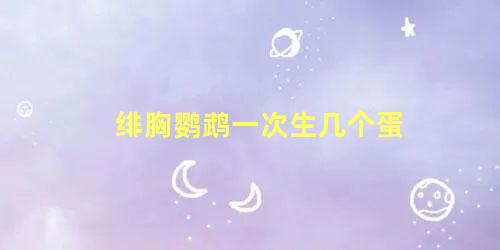 绯胸鹦鹉一次生几个蛋