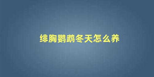 绯胸鹦鹉冬天怎么养