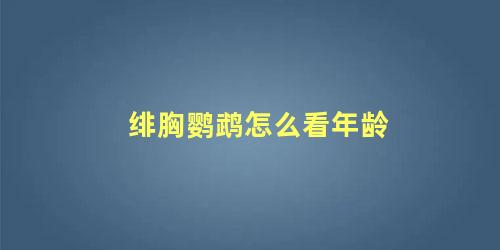 绯胸鹦鹉怎么看年龄