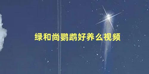 绿和尚鹦鹉好养么视频