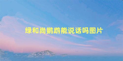 绿和尚鹦鹉能说话吗图片