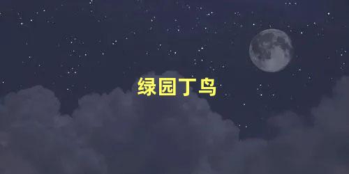 绿园丁鸟
