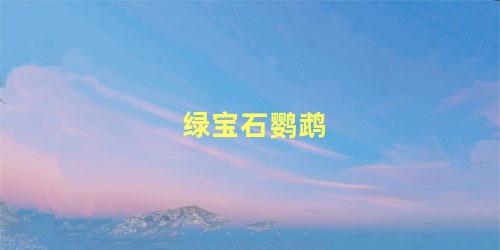 绿宝石鹦鹉