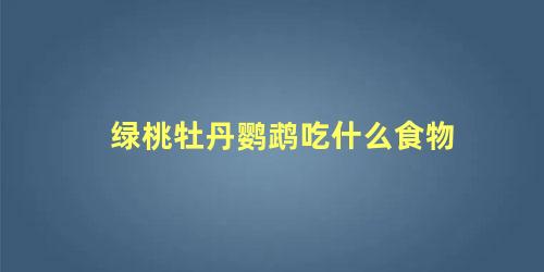 绿桃牡丹鹦鹉吃什么食物