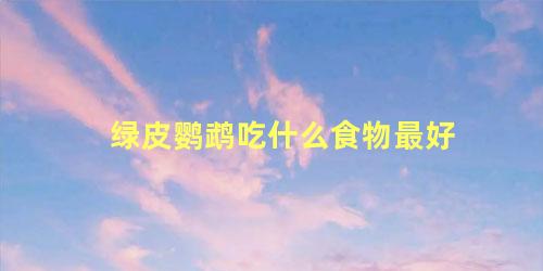 绿皮鹦鹉吃什么食物最好