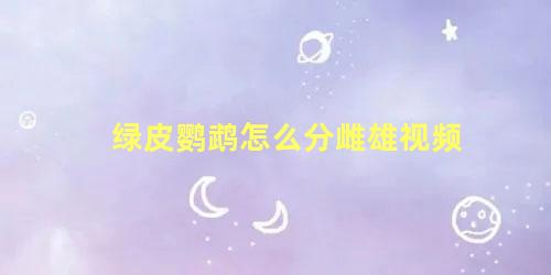绿皮鹦鹉怎么分雌雄视频
