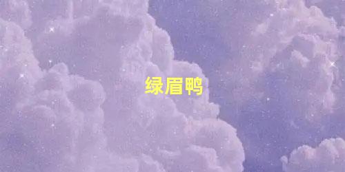 绿眉鸭
