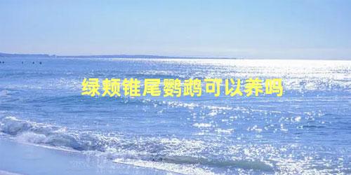 绿颊锥尾鹦鹉可以养吗