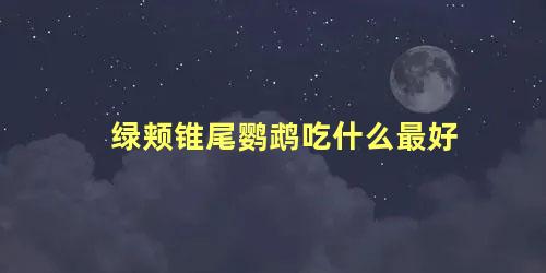 绿颊锥尾鹦鹉吃什么最好