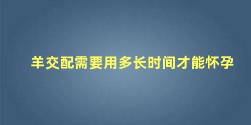 羊交配需要用多长时间才能怀孕