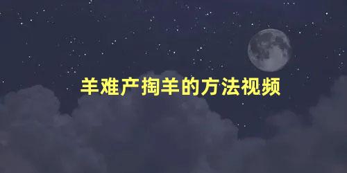羊难产掏羊的方法视频