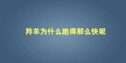 羚羊为什么跑得那么快呢