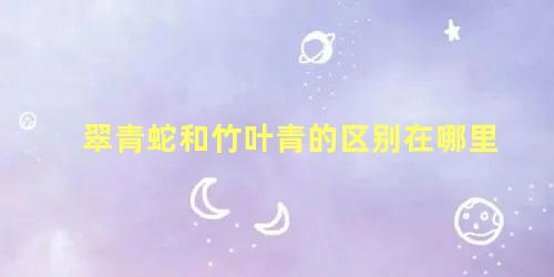 翠青蛇和竹叶青的区别在哪里