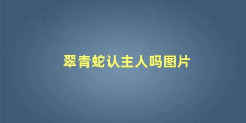 翠青蛇认主人吗图片