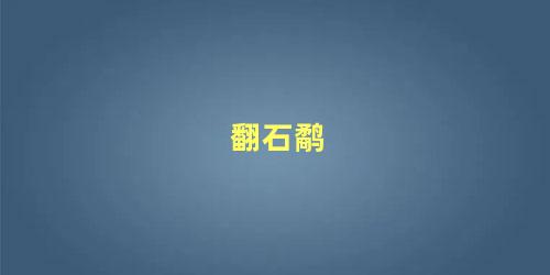 翻石鹬