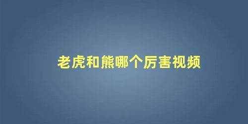老虎和熊哪个厉害视频