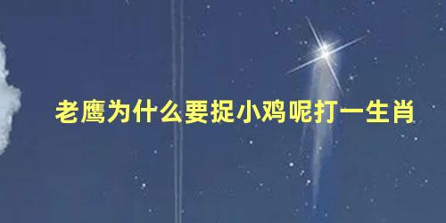 老鹰为什么要捉小鸡呢打一生肖