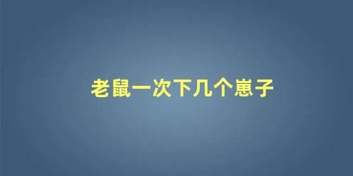 老鼠一次下几个崽子