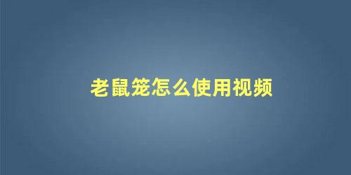 老鼠笼怎么使用视频