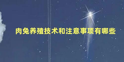 肉兔养殖技术和注意事项有哪些