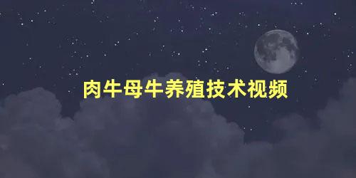 肉牛母牛养殖技术视频