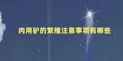 肉用驴的繁殖注意事项有哪些