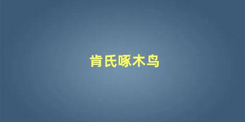 肯氏啄木鸟