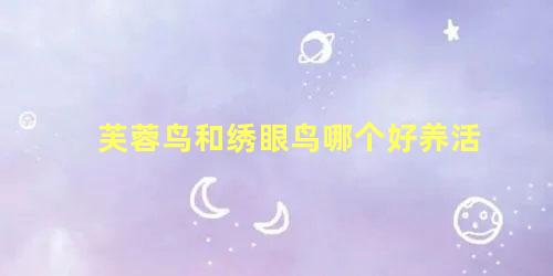 芙蓉鸟和绣眼鸟哪个好养活