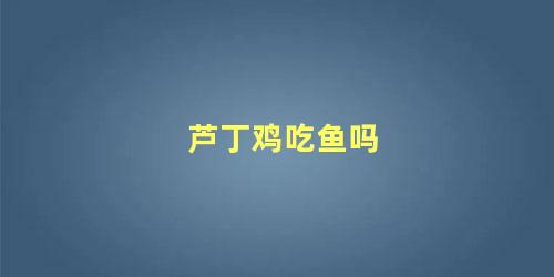 芦丁鸡吃鱼吗