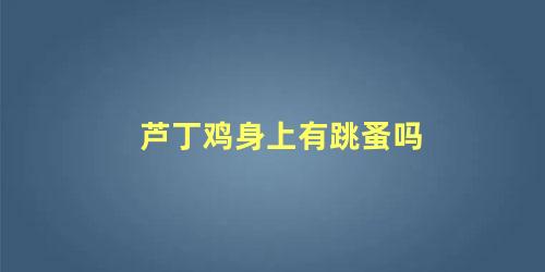 芦丁鸡身上有跳蚤吗