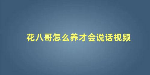 花八哥怎么养才会说话视频