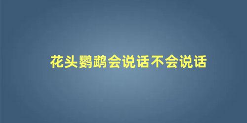 花头鹦鹉会说话不会说话