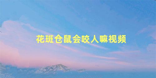 花斑仓鼠会咬人嘛视频