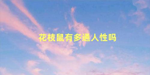 花枝鼠有多通人性吗