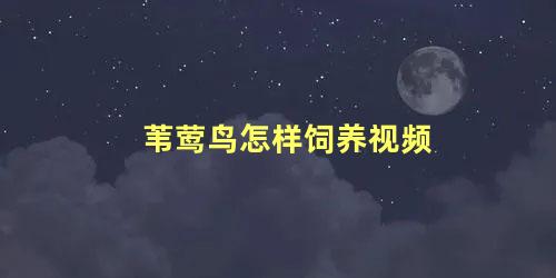 苇莺鸟怎样饲养视频