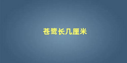 苍鹭长几厘米