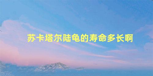 苏卡塔尔陆龟的寿命多长啊