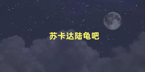苏卡达陆龟吧