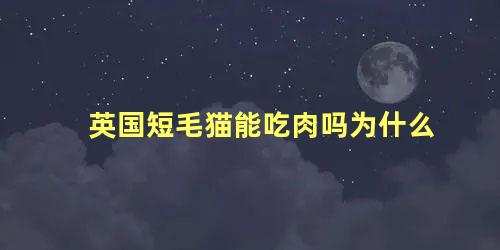 英国短毛猫能吃肉吗为什么
