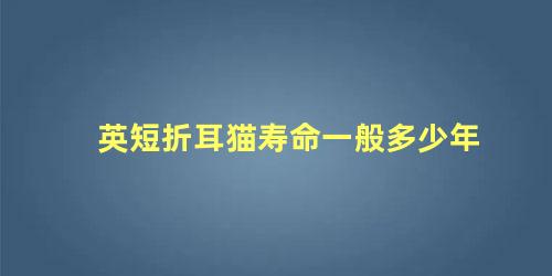 英短折耳猫寿命一般多少年