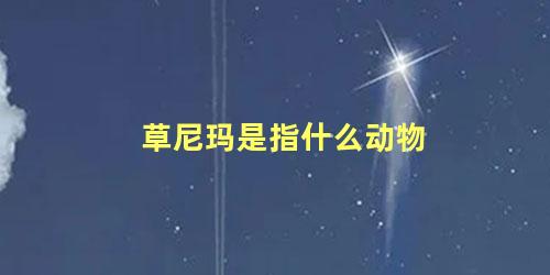 草尼玛是指什么动物