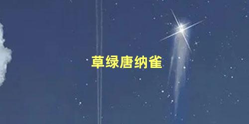 草绿唐纳雀