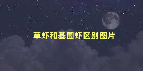 草虾和基围虾区别图片