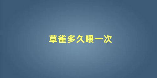 草雀多久喂一次